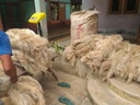 Additional Image 1
